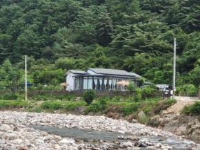 Danyang Forest 67
